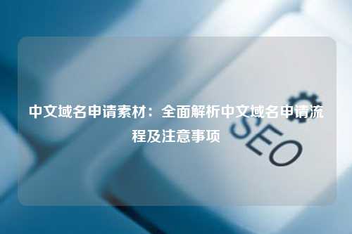 中文域名申请素材：全面解析中文域名申请流程及注意事项