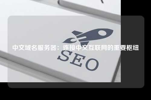 中文域名服务器：连接中文互联网的重要枢纽