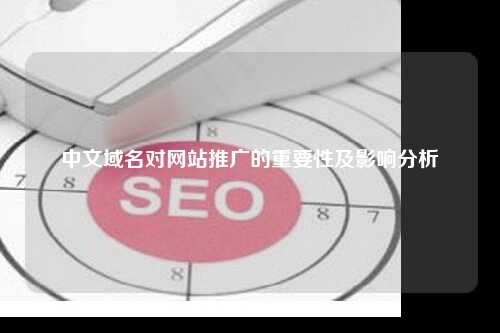中文域名对网站推广的重要性及影响分析