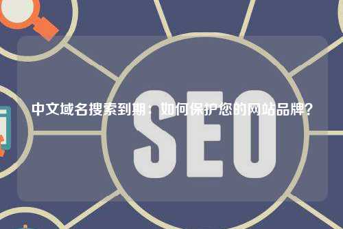 中文域名搜索到期：如何保护您的网站品牌？