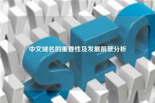 中文域名的重要性及发展前景分析