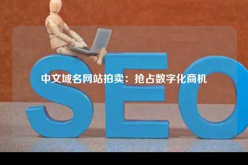 中文域名网站拍卖：抢占数字化商机
