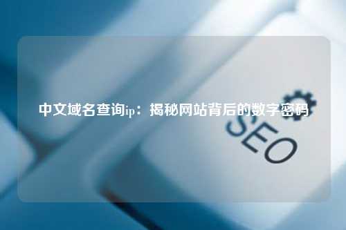 中文域名查询ip：揭秘网站背后的数字密码
