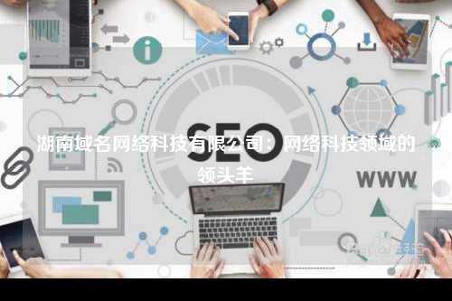 湖南域名网络科技有限公司：网络科技领域的领头羊
