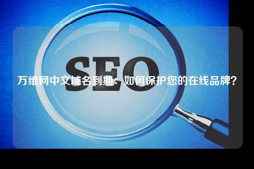 万维网中文域名到期：如何保护您的在线品牌？