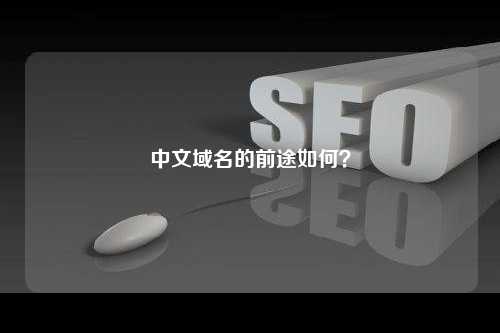 中文域名的前途如何？