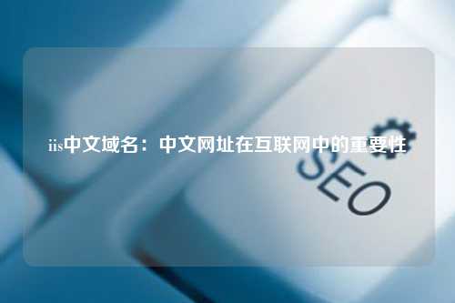 iis中文域名：中文网址在互联网中的重要性