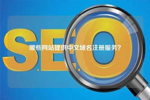 哪些网站提供中文域名注册服务？