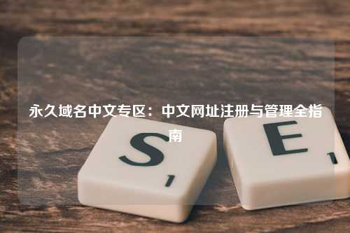永久域名中文专区：中文网址注册与管理全指南