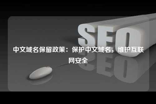中文域名保留政策：保护中文域名，维护互联网安全