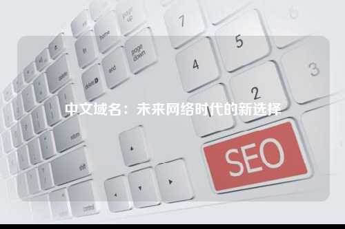 中文域名：未来网络时代的新选择
