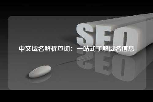 中文域名解析查询：一站式了解域名信息