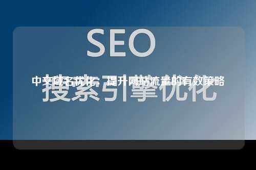 中文域名优化：提升网站流量的有效策略