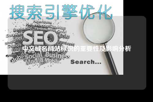 中文域名网站标识的重要性及影响分析