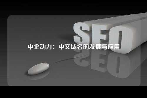 中企动力：中文域名的发展与应用